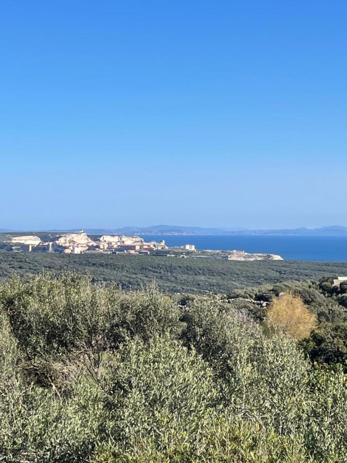 فيلا A Santa Trinita بونيفَسْيو المظهر الخارجي الصورة